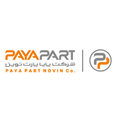 PAYA logo